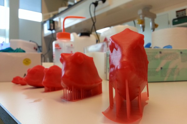 Photograph showing a couple of 3d box fish models printed on a DLP printer